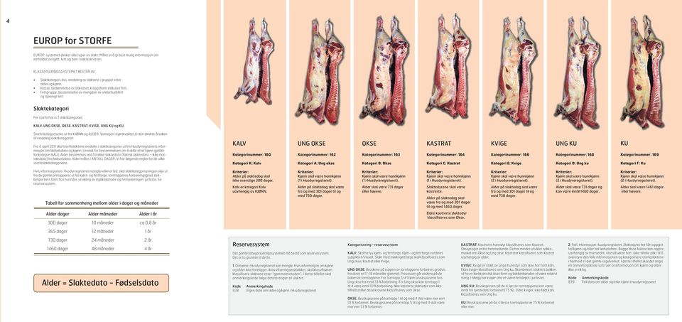 Fettgruppe, bestemmelse av mengden av underhudsfett og isprengt fett Slaktekategori For storfe har vi 7 slaktkategorier: KALV, UNG OKSE, OKSE, KASTRAT, KVIGE, UNG KU og KU Storfe kategoriseres ut fra