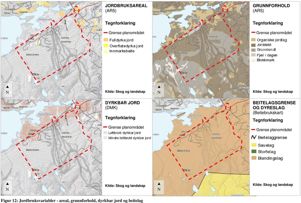 BEITELAGSGRENSE OG DYRESLAG (Beitebrukskart) Tegnforklaring Grense planområdet Grense planområdet N