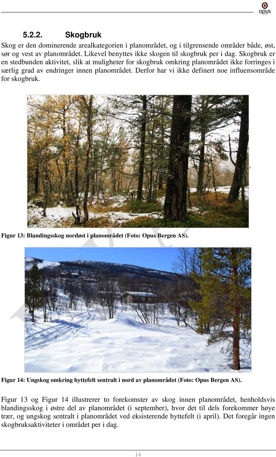 Derfor har vi ikke definert noe influensområde for skogbruk. Figur 13: Blandingsskog nordøst i planområdet (Foto: Opus Bergen AS).