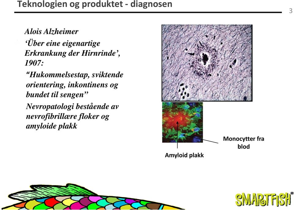 orientering, inkontinens og bundet til sengen Nevropatologi bestående