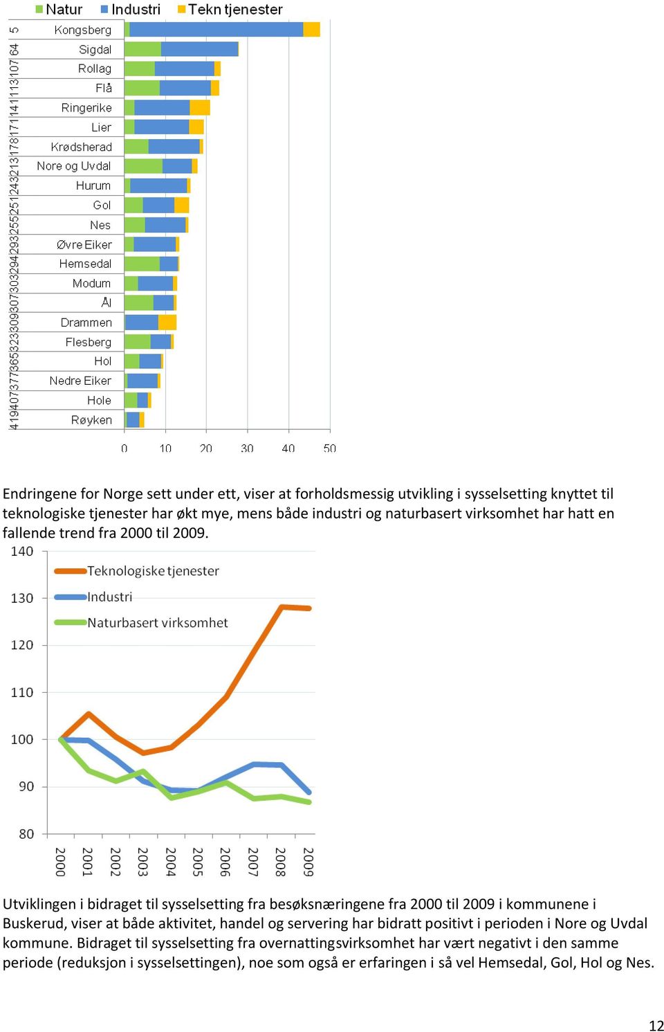 Utviklingen i bidraget til sysselsetting fra besøksnæringene fra 2000 til 2009 i kommunene i Buskerud, viser at både aktivitet, handel og servering har