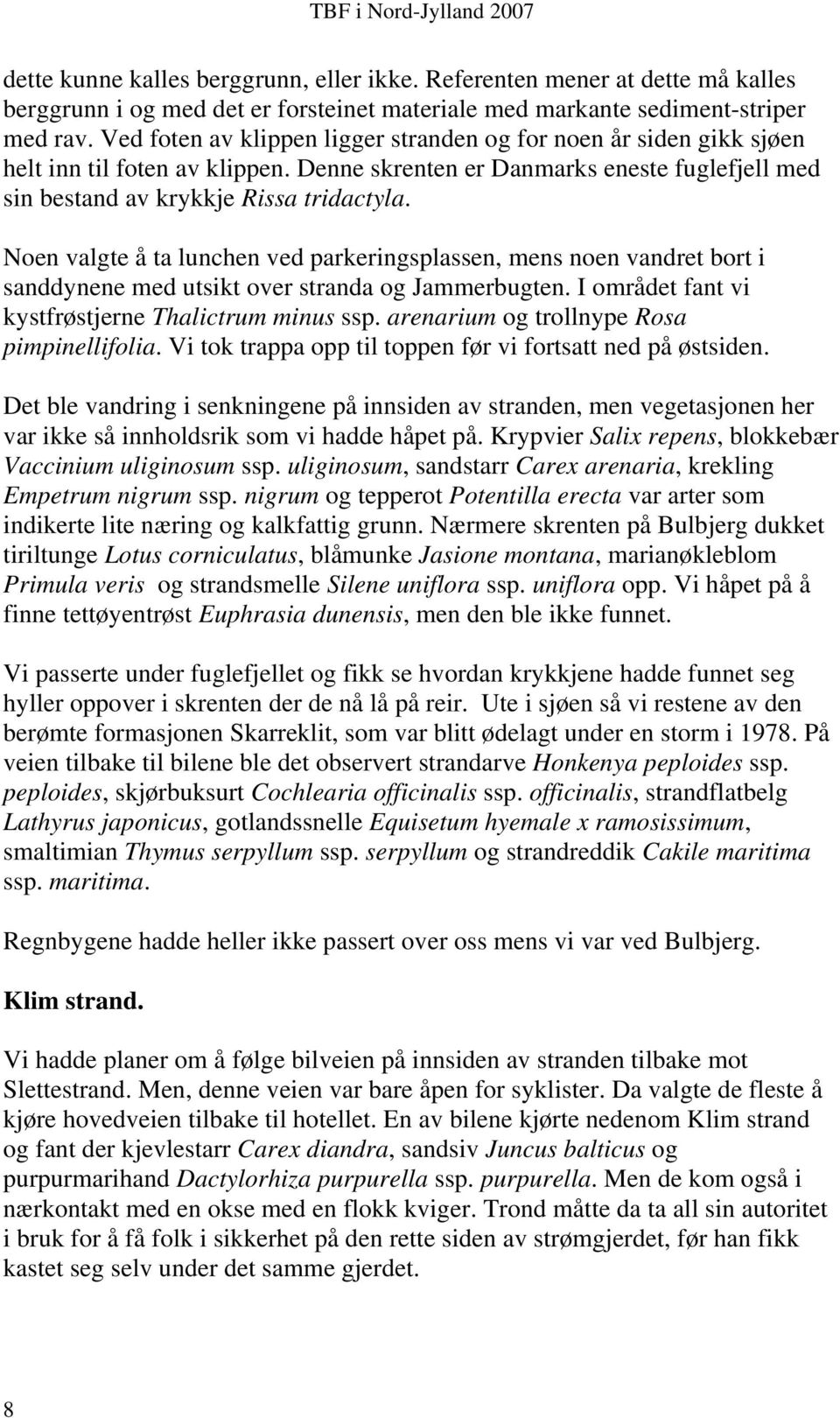 Noen valgte å ta lunchen ved parkeringsplassen, mens noen vandret bort i sanddynene med utsikt over stranda og Jammerbugten. I området fant vi kystfrøstjerne Thalictrum minus ssp.