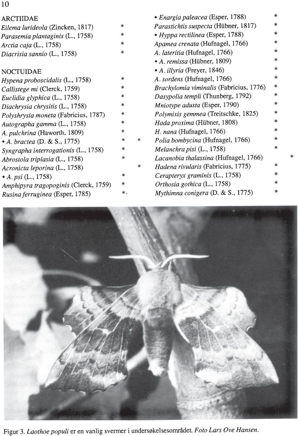 bractea @. & S., 1775) Syngrapha interrogationis (L., 1758) Abrostola triplasia (L., 1758) Acronicta leporina (L., 1758) A. psi (L.