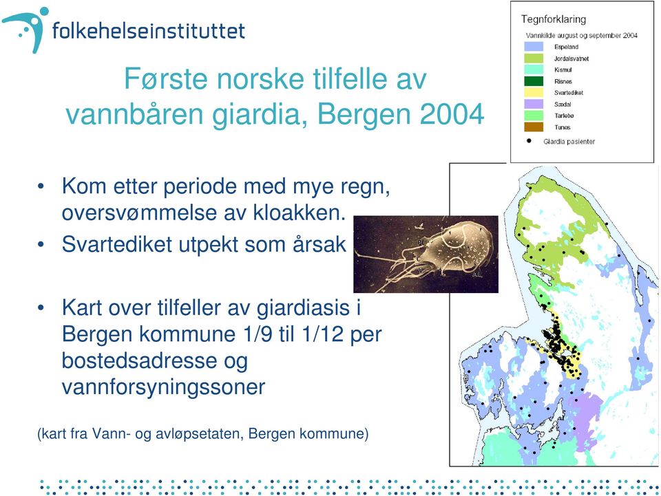 Svartediket utpekt som årsak Kart over tilfeller av giardiasis i Bergen