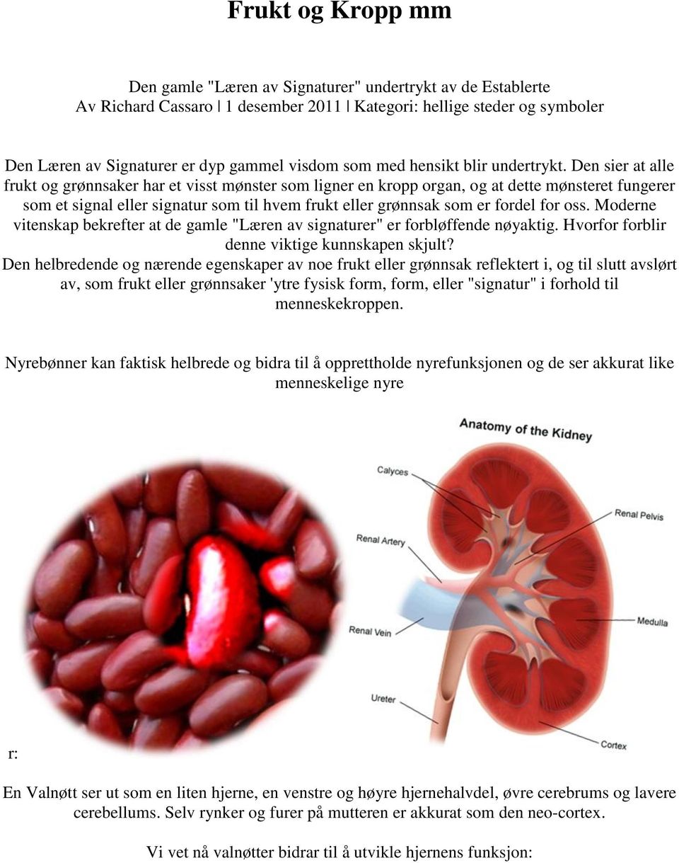 Den sier at alle frukt og grønnsaker har et visst mønster som ligner en kropp organ, og at dette mønsteret fungerer som et signal eller signatur som til hvem frukt eller grønnsak som er fordel for