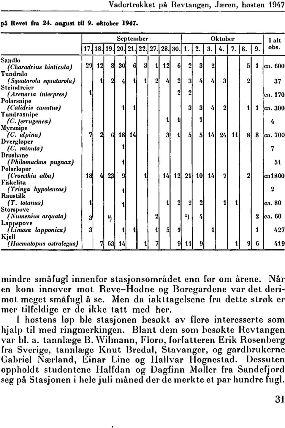 /errugenea) 1 ~Iyrsnipe 1 1 '. (C. alpintl) 7 2 G 18 14 3 1 5 5 1ft 24 11 8 8 ca. ioo Dvergloper 1 (C. mi,liila) 7 Brushnne (Philomm:lms pllg1ltlx) 1 51 Polar111per (Crocetllia alba) 18 'I 2.