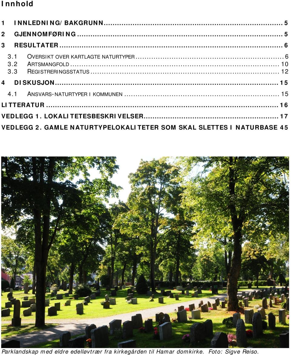 .. 15 4.1 ANSVARS-NATURTYPER I KOMMUNEN... 15 LITTERATUR... 16 VEDLEGG 1. LOKALITETESBESKRIVELSER... 17 VEDLEGG 2.