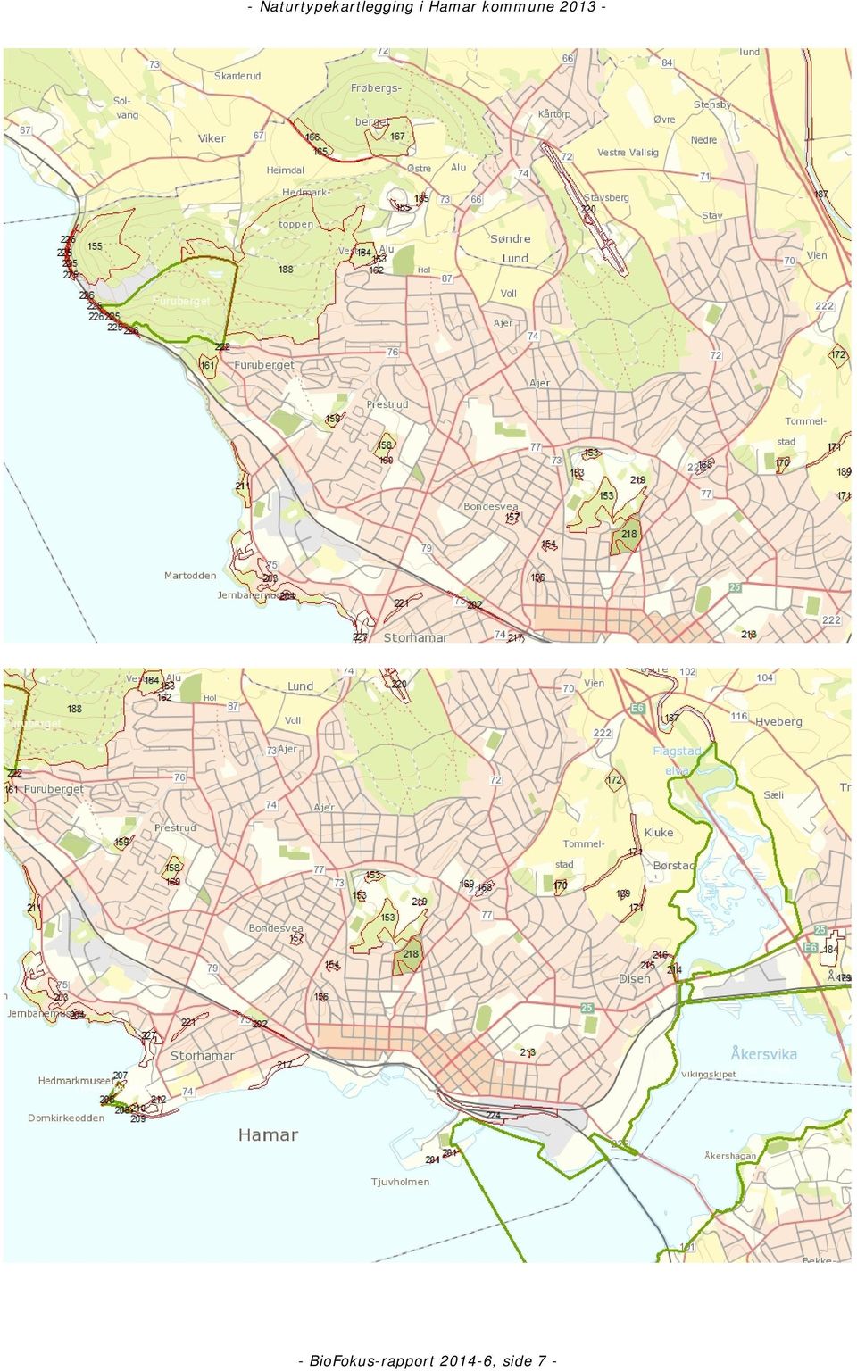 i Hamar kommune 2013