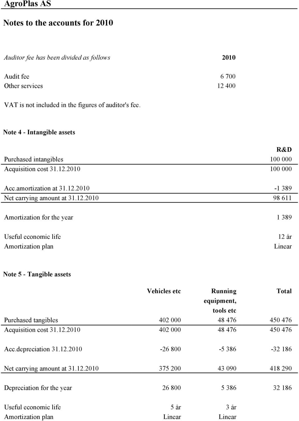 2010 100 000 Acc.amortization at 31.12.