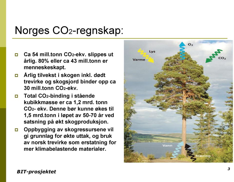 Total CO2-binding i stående kubikkmasse er ca 1,2 mrd. tonn CO2- ekv. Denne bør kunne økes til 1,5 mrd.