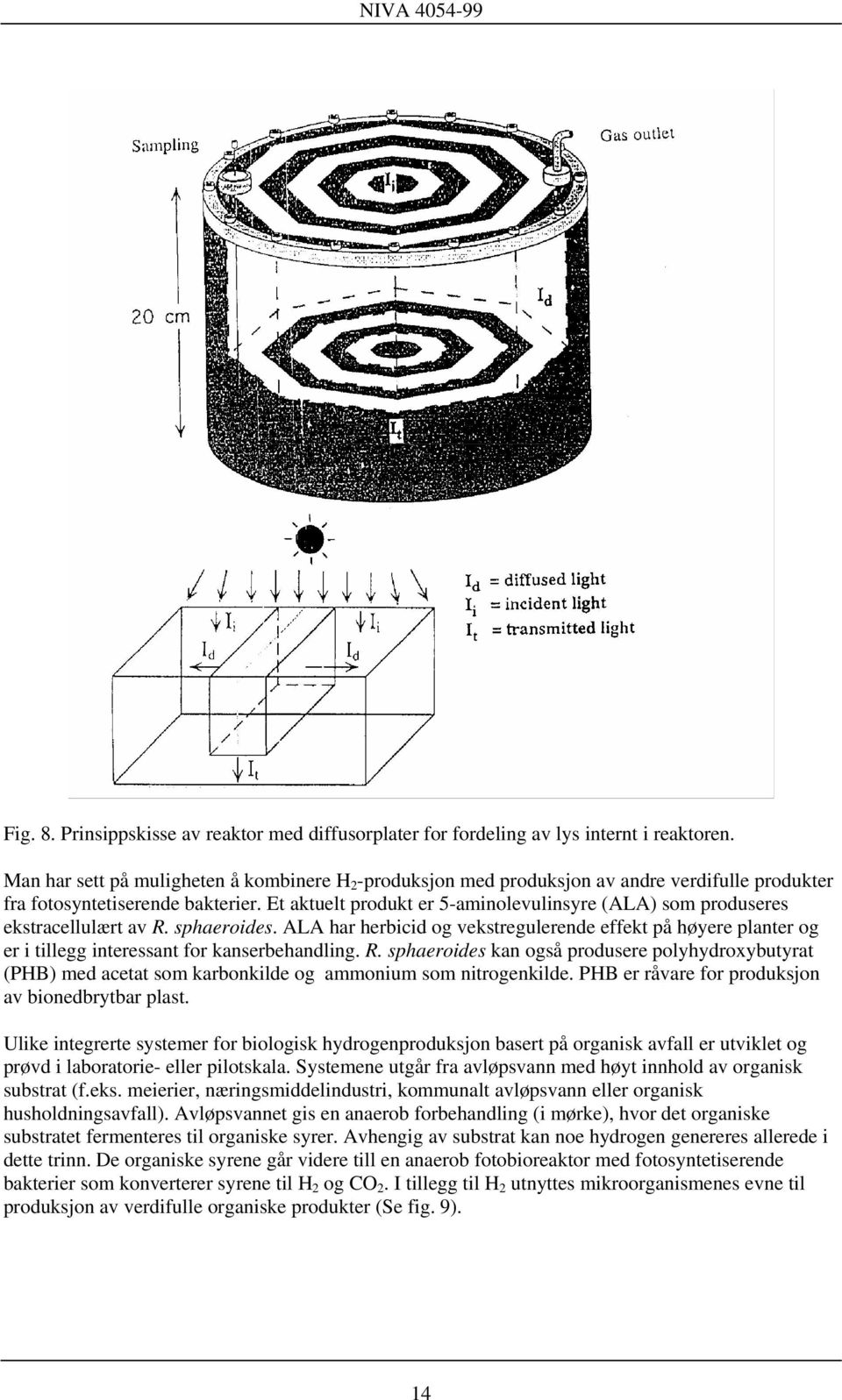 Et aktuelt produkt er 5-aminolevulinsyre (ALA) som produseres ekstracellulært av R. sphaeroides.