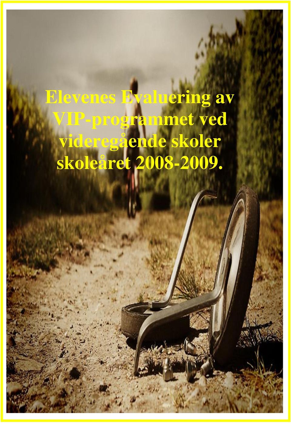 VIP-programmet ved