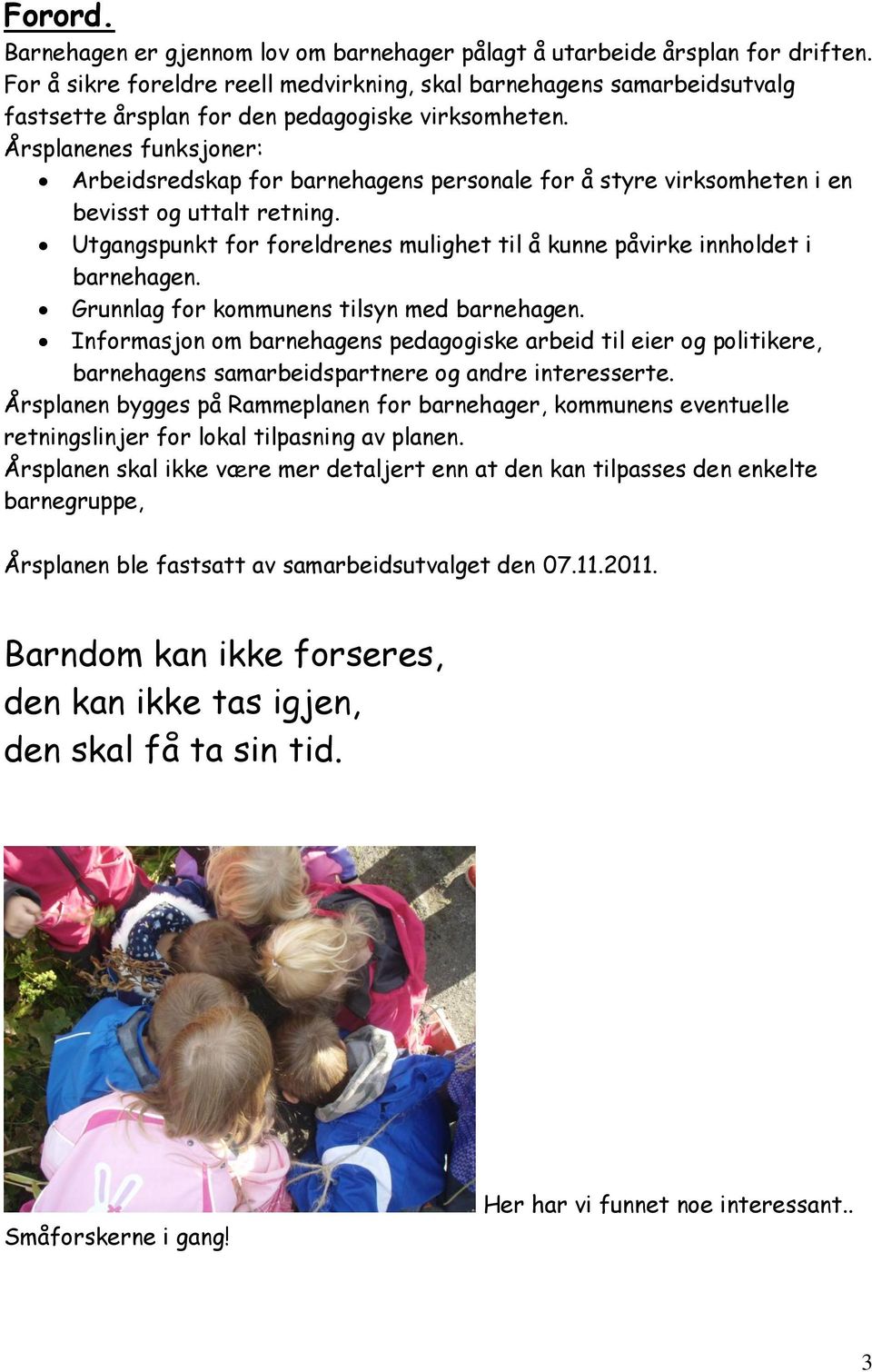 Årsplanenes funksjoner: Arbeidsredskap for barnehagens personale for å styre virksomheten i en bevisst og uttalt retning.