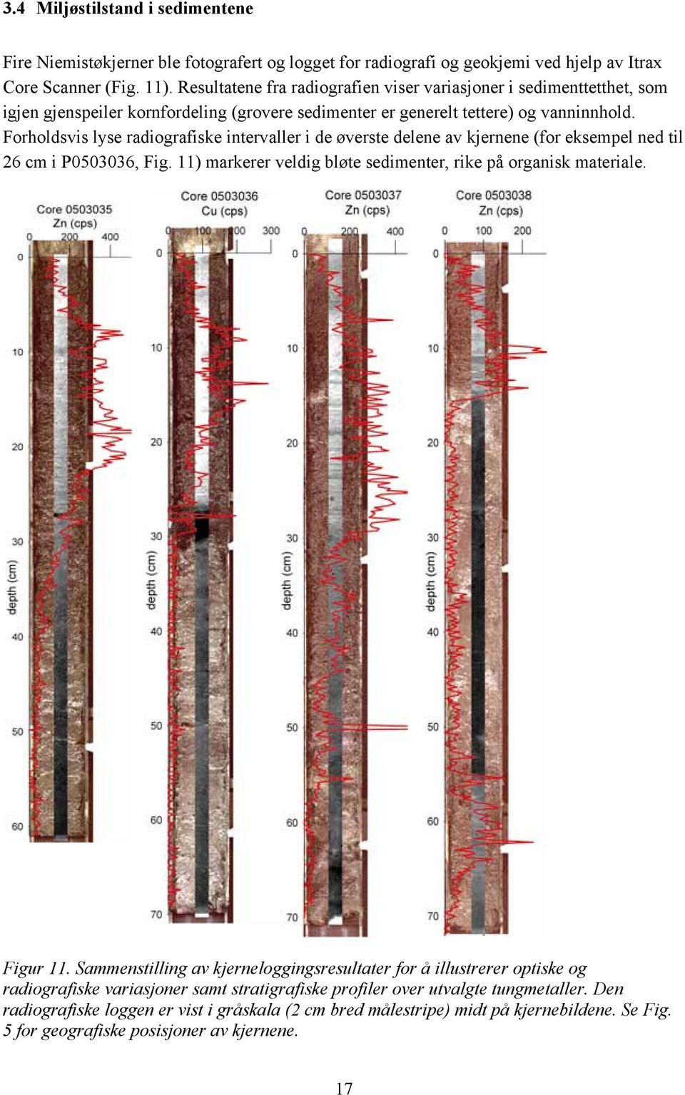 Forholdsvis lyse radiografiske intervaller i de øverste delene av kjernene (for eksempel ned til 26 cm i P0503036, Fig. 11) markerer veldig bløte sedimenter, rike på organisk materiale. Figur 11.