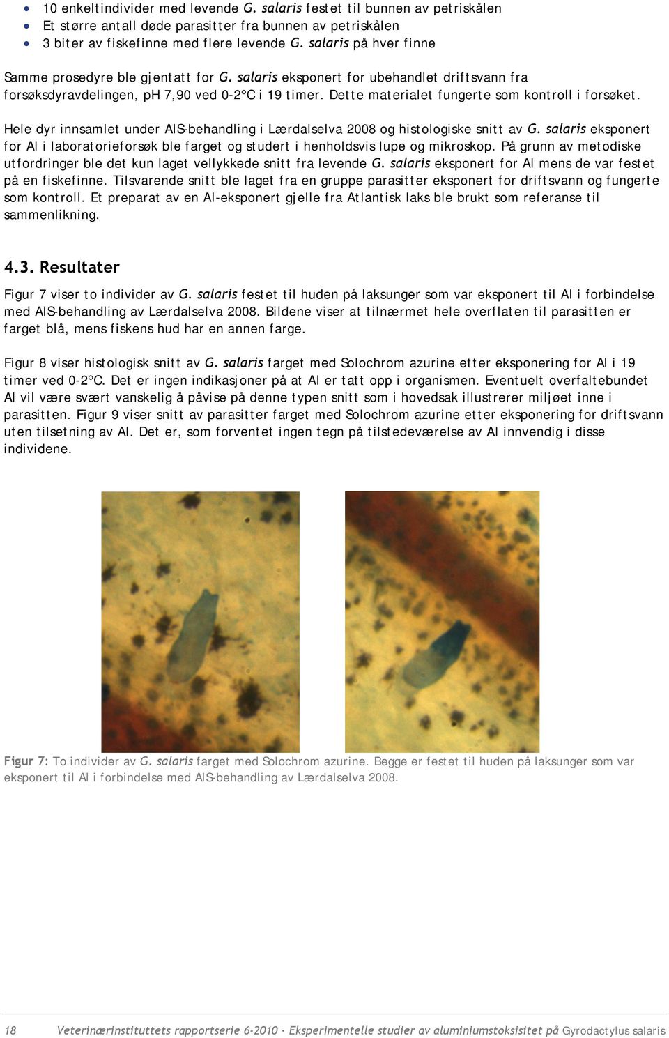 Dette materialet fungerte som kontroll i forsøket. Hele dyr innsamlet under AlS-behandling i Lærdalselva 2008 og histologiske snitt av G.