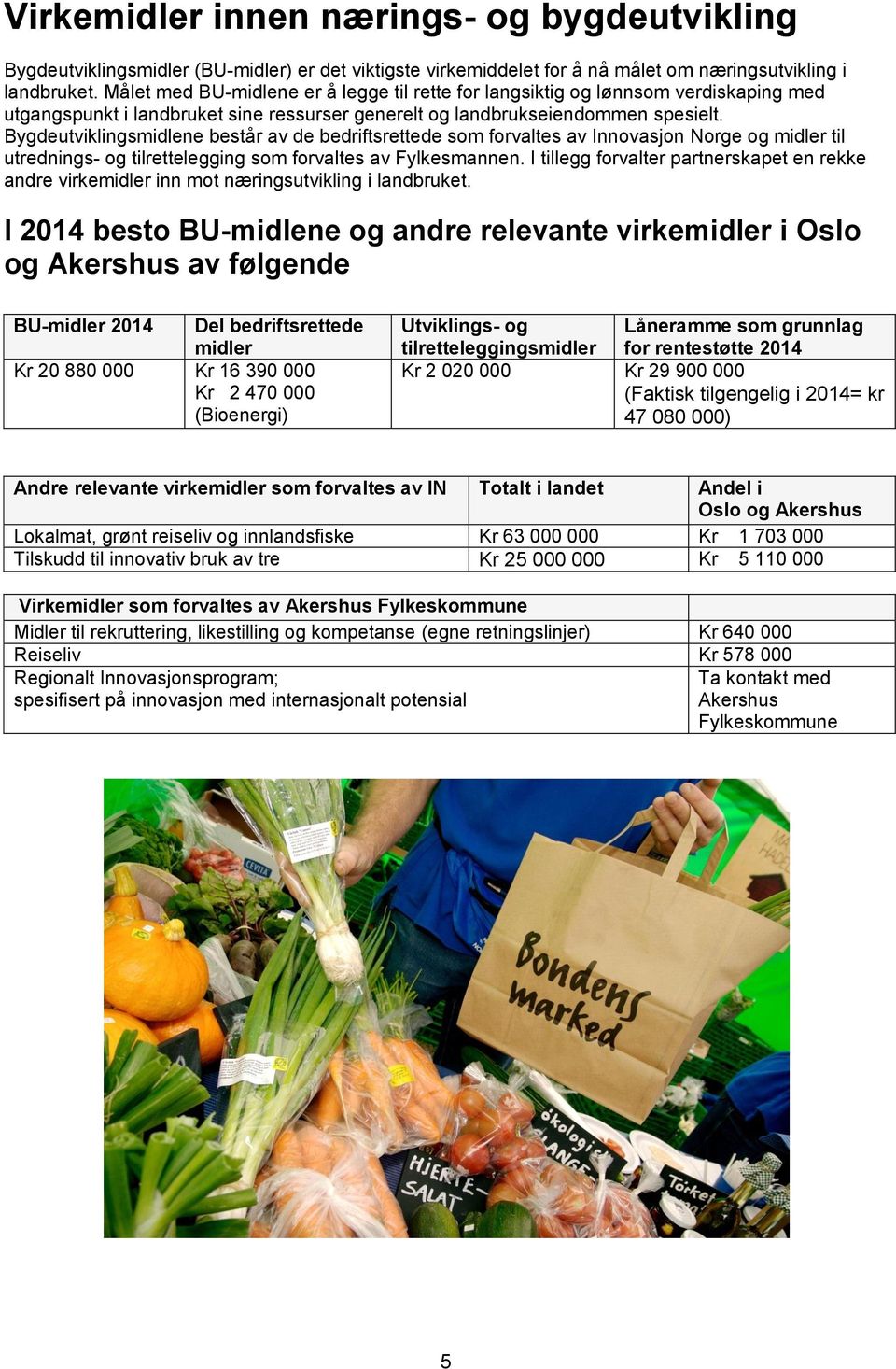 Bygdeutviklingsmidlene består av de bedriftsrettede som forvaltes av Innovasjon Norge og midler til utrednings- og tilrettelegging som forvaltes av Fylkesmannen.