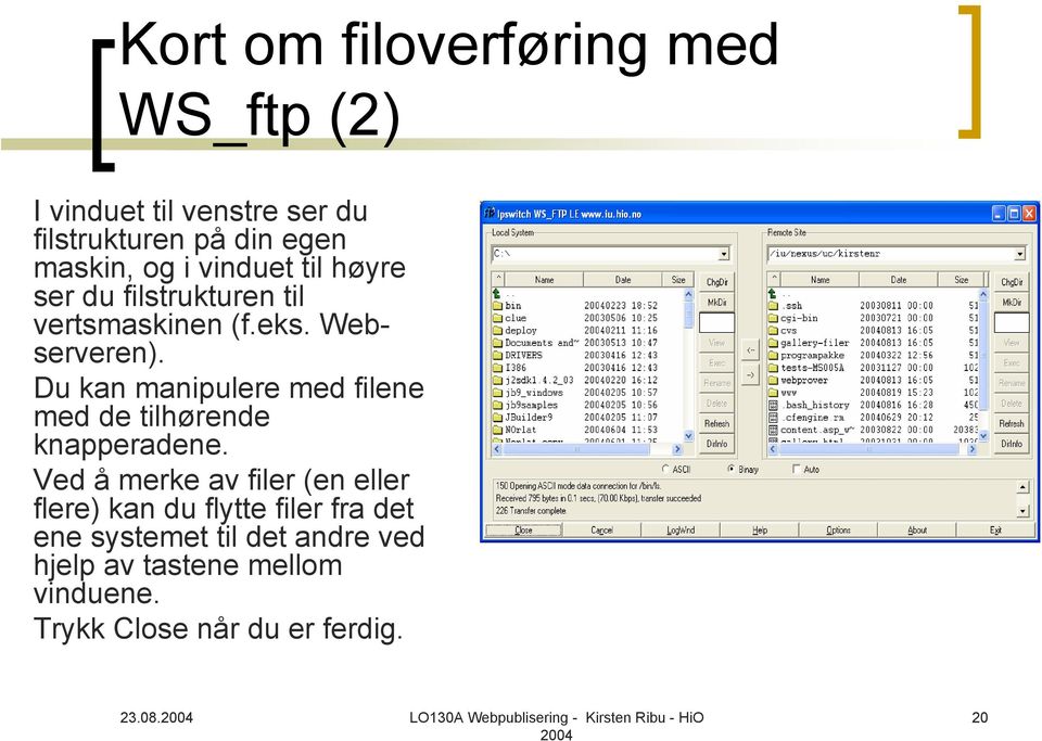 Du kan manipulere med filene med de tilhørende knapperadene.