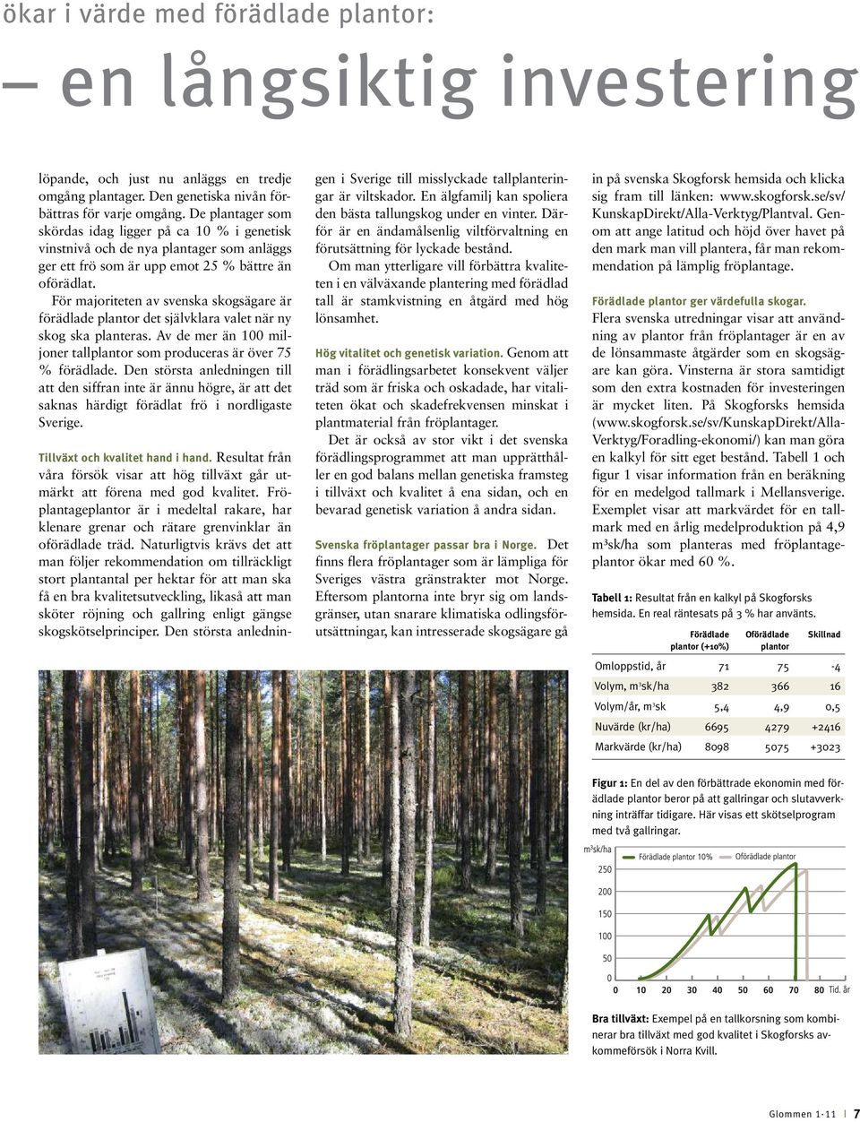 För majoriteten av svenska skogsägare är förädlade plantor det självklara valet när ny skog ska planteras. Av de mer än 100 miljoner tallplantor som produceras är över 75 % förädlade.