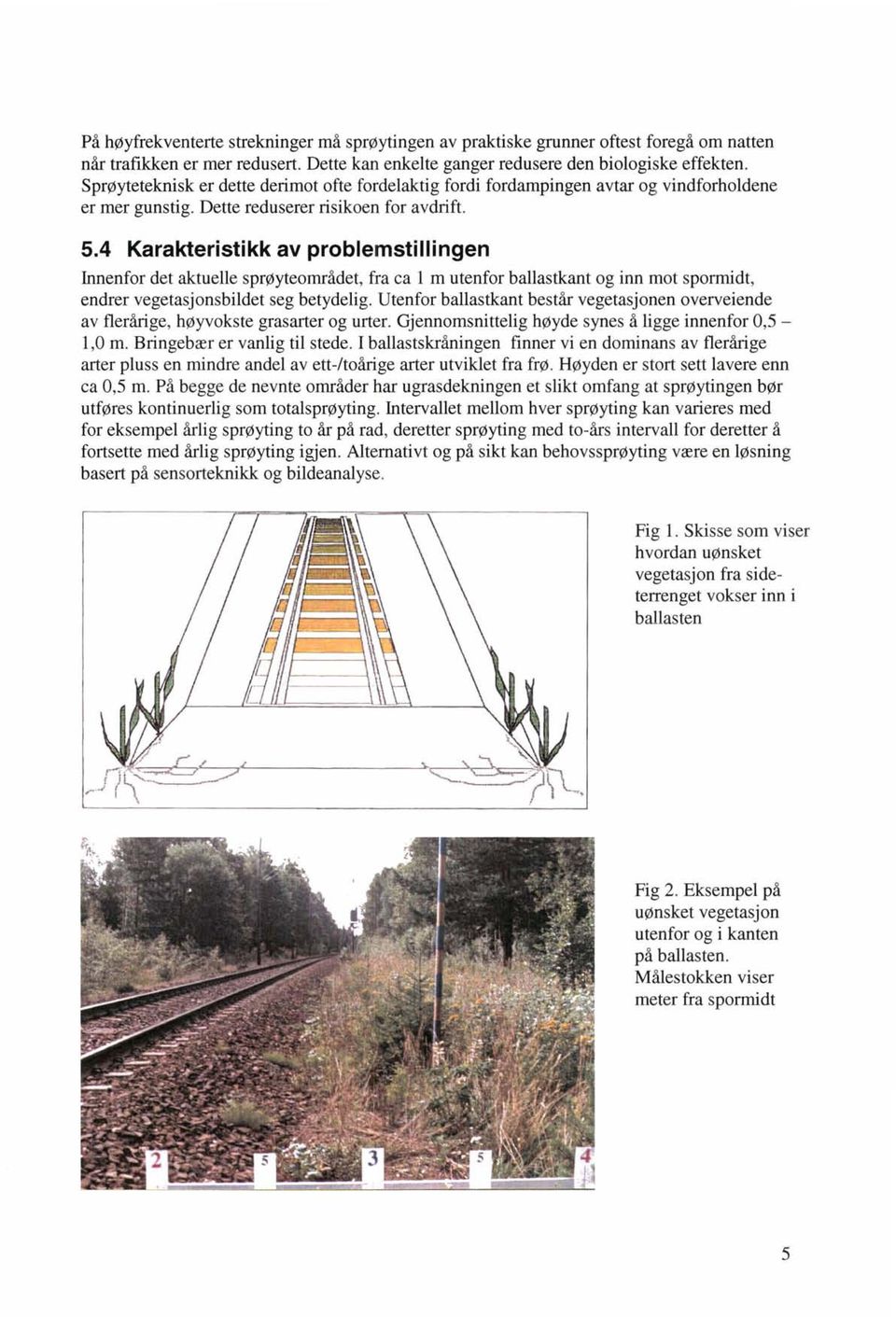 4 Karakteristi kk av prblemsti II ingen Innenfr det aktuelle sprøytemrådet, fra ca 1 m utenfr ballastkant g inn mt sprmidt, endrer vegetasjnsbildet seg betydelig.