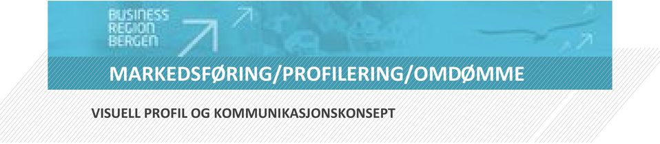 Et felleseie som flest mulig aktører i regionen skal bruke i ulike profileringssammenhenger: Samlende og regionsoverbyggende Spenstig og