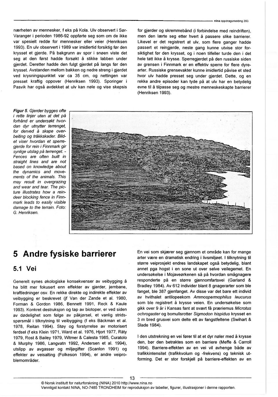 En ulv observert i 1989 var imidlertid forsiktig før den krysset et gjerde. På bakgrunn av spor i snøen viste det seg at den først hadde forsøkt å stikke labben under gjerdet.