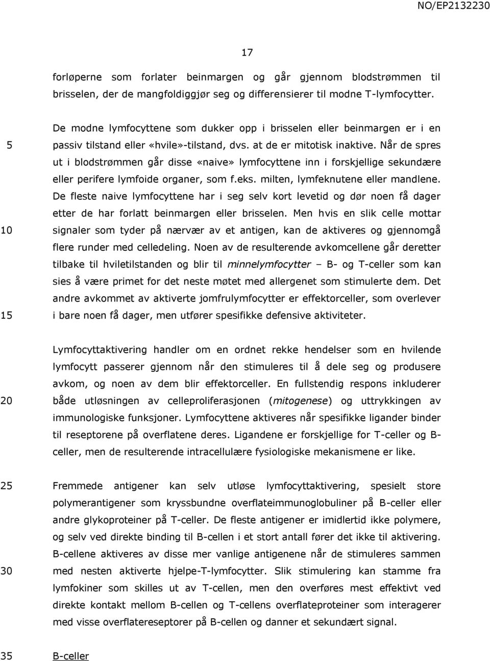 Når de spres ut i blodstrømmen går disse «naive» lymfocyttene inn i forskjellige sekundære eller perifere lymfoide organer, som f.eks. milten, lymfeknutene eller mandlene.