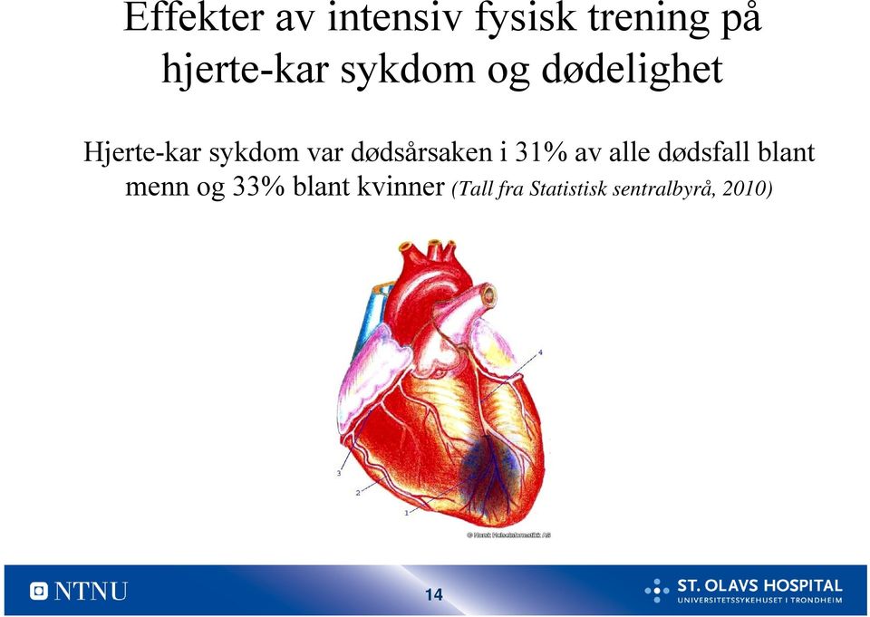 dødsårsaken i 31% av alle dødsfall blant menn og