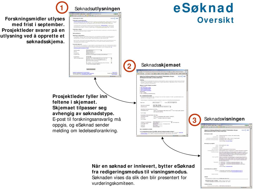 Skjemaet tilpasser seg avhengig av søknadstype.