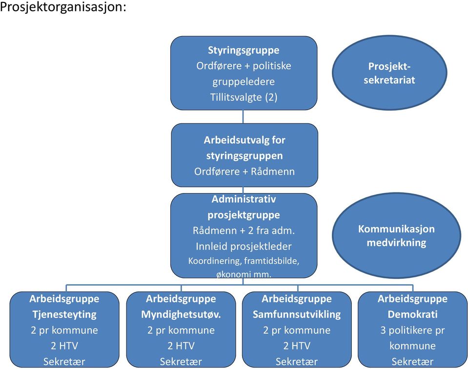 prosjektgruppe Rådmenn + 2 fra adm.