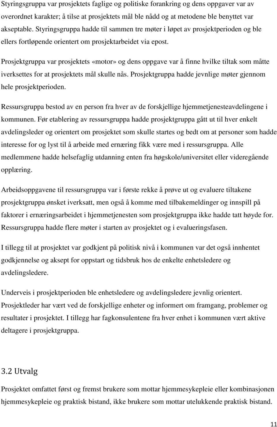 Prosjektgruppa var prosjektets «motor» og dens oppgave var å finne hvilke tiltak som måtte iverksettes for at prosjektets mål skulle nås.