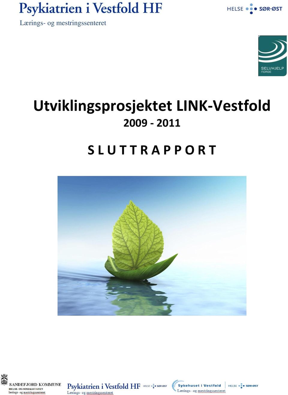 Utviklingsprosjektet