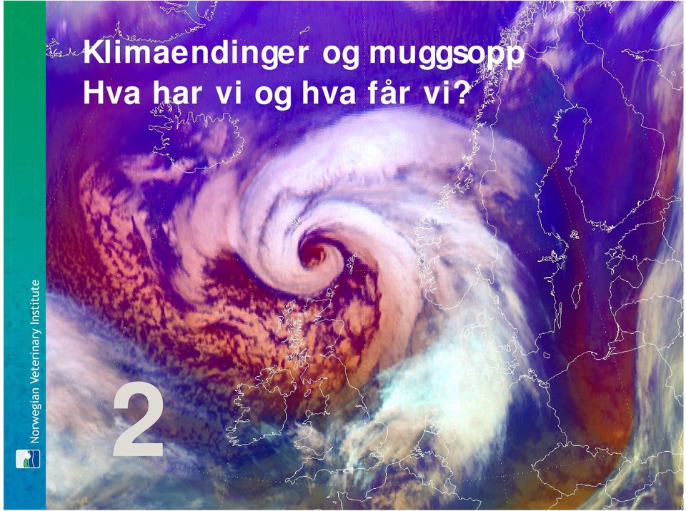 Hva har vi og