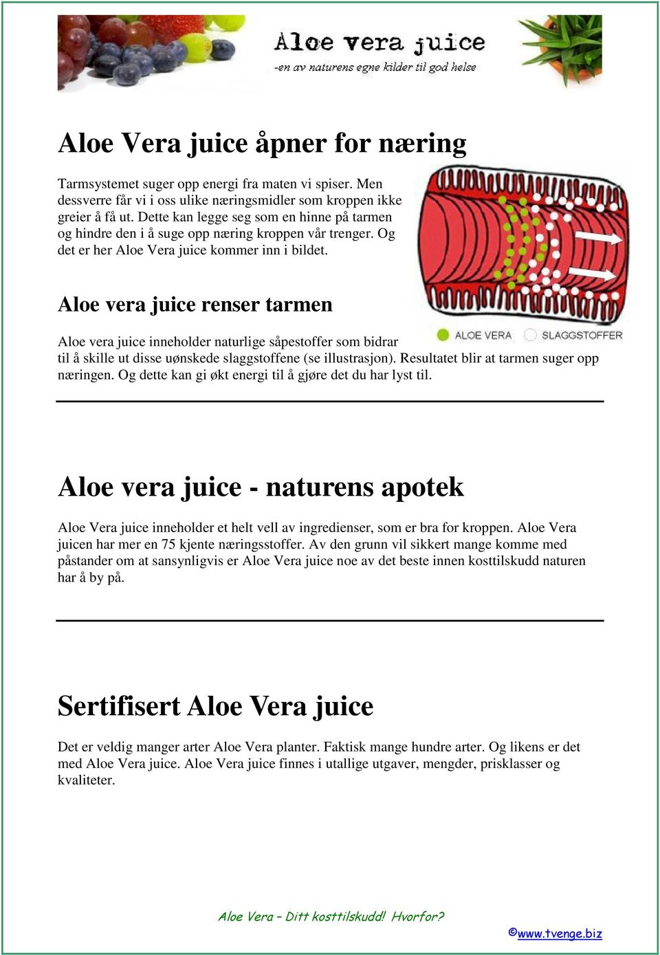 Aloe vera juice renser tarmen Aloe vera juice inneholder naturlige såpestoffer som bidrar til å skille ut disse uønskede slaggstoffene (se illustrasjon). Resultatet blir at tarmen suger opp næringen.