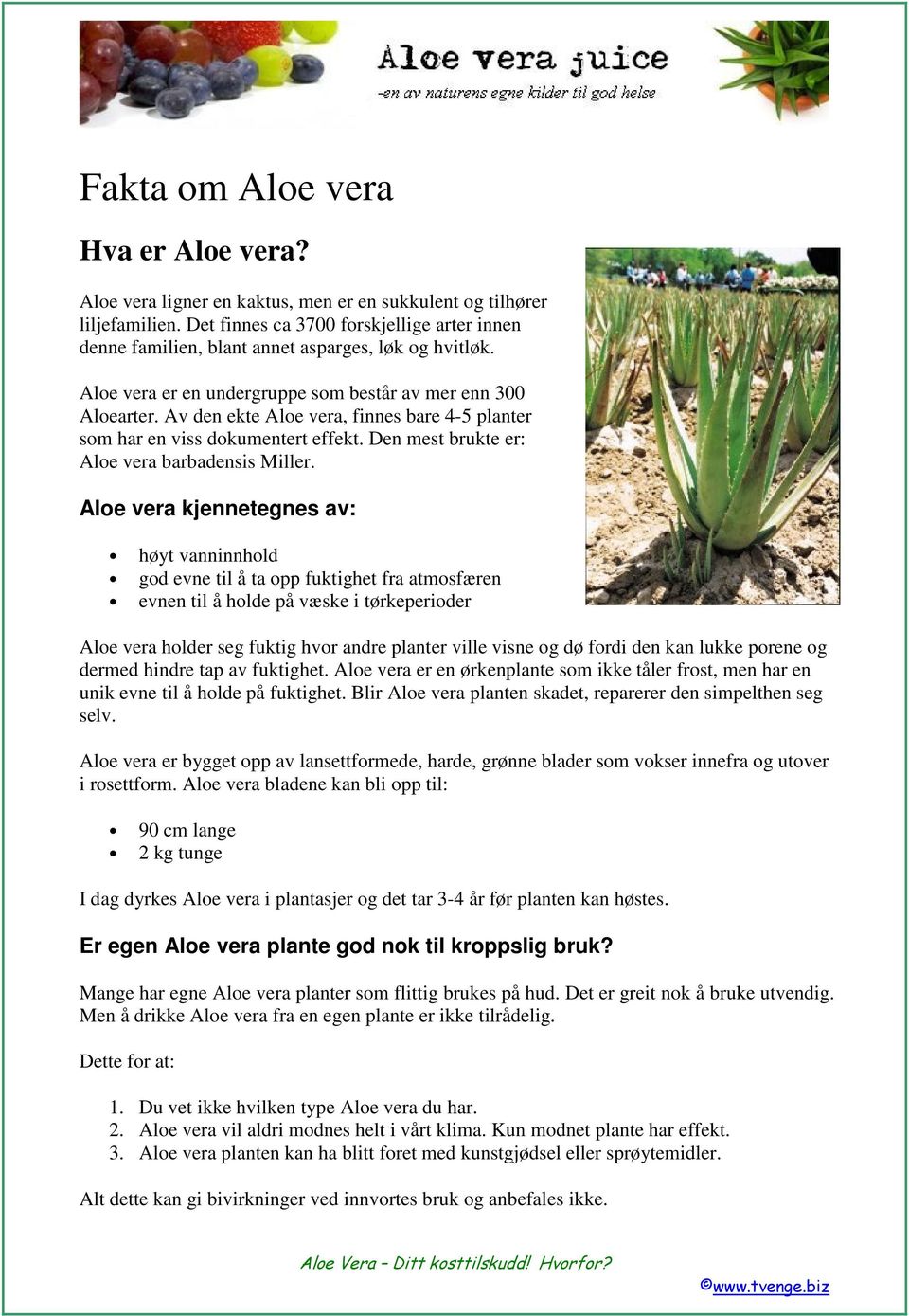 Av den ekte Aloe vera, finnes bare 4-5 planter som har en viss dokumentert effekt. Den mest brukte er: Aloe vera barbadensis Miller.