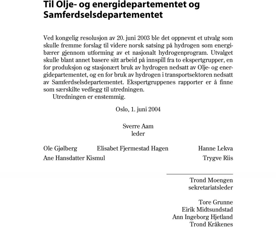 Utvalget skulle blant annet basere sitt arbeid på innspill fra to ekspertgrupper, en for produksjon og stasjonært bruk av hydrogen nedsatt av Olje- og energidepartementet, og en for bruk av hydrogen