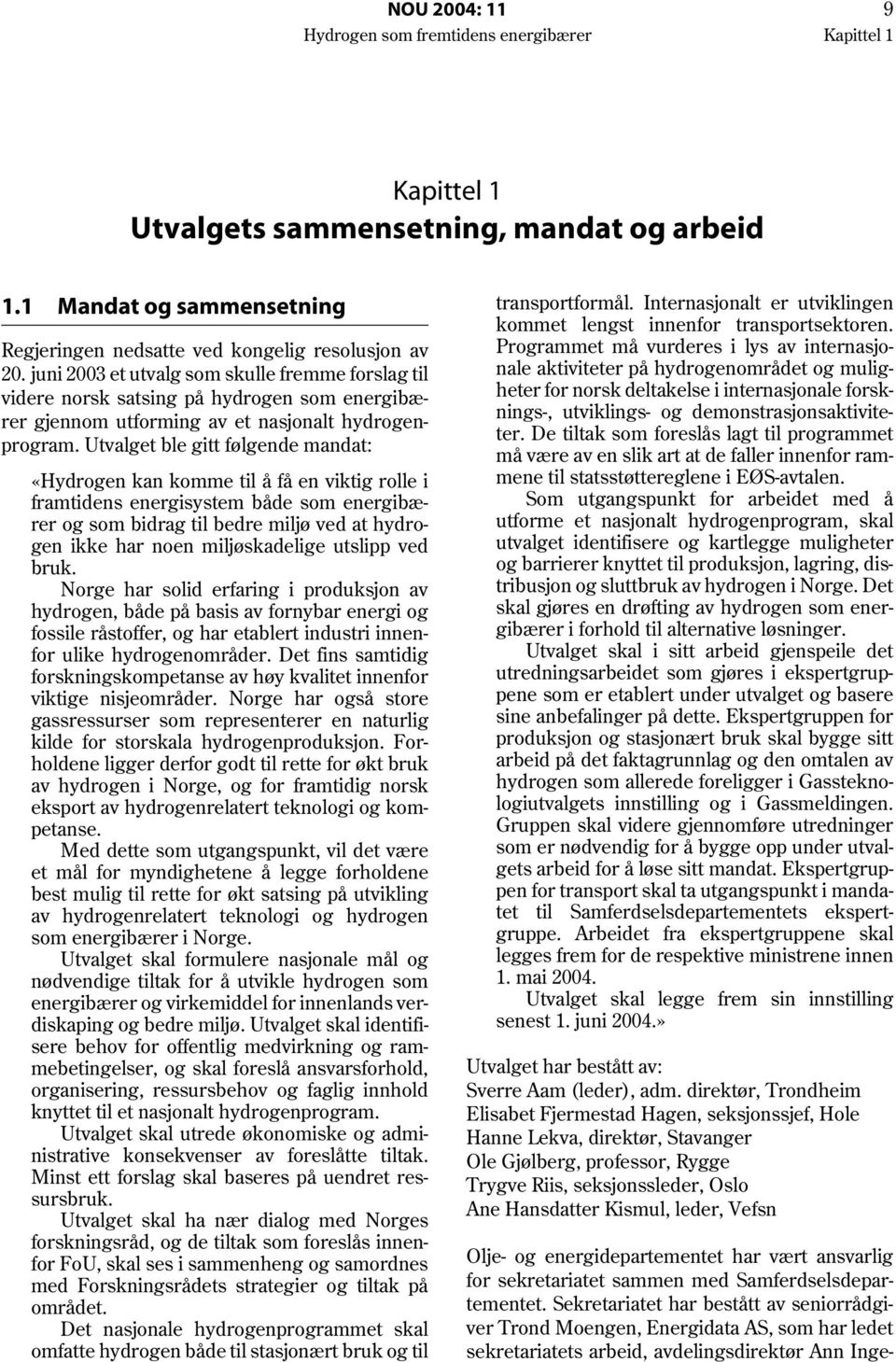 Utvalget ble gitt følgende mandat: «Hydrogen kan komme til å få en viktig rolle i framtidens energisystem både som energibærer og som bidrag til bedre miljø ved at hydrogen ikke har noen