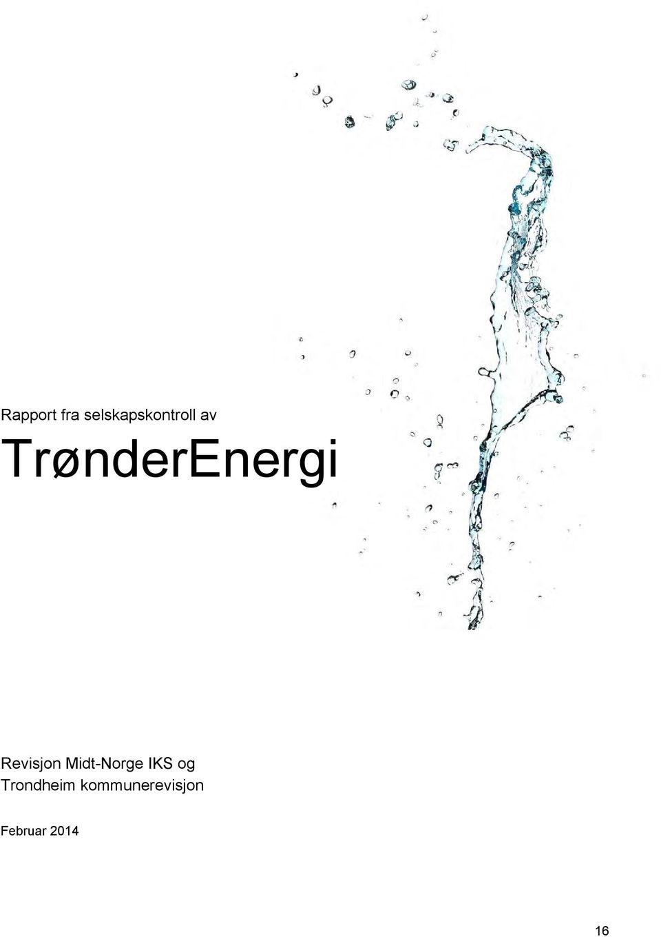 TrønderEnergi Revisjon