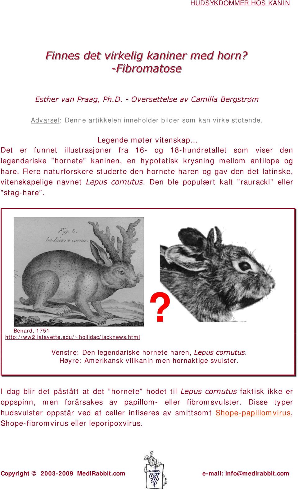 Legende møter vitenskap Det er funnet illustrasjoner fra 16- og 18-hundretallet som viser den legendariske hornete kaninen, en hypotetisk krysning mellom antilope og hare.