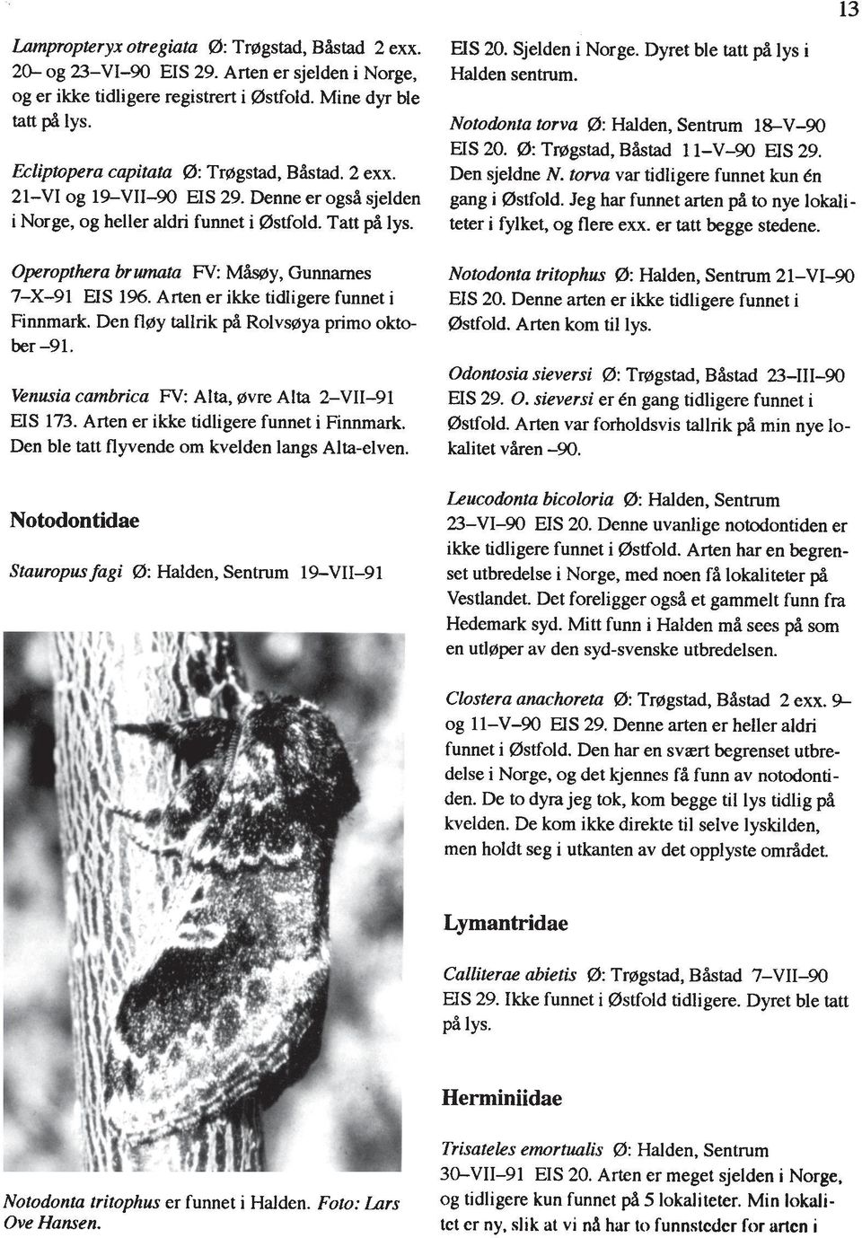 Operopthera br wnata FV: Mby, Gunnarnes 7-X-91 US 1%. Arten er ikke tidigere funnet i Finnrnark. Den fl~y tallrik pi Rolvs~iya primo oktober -91.
