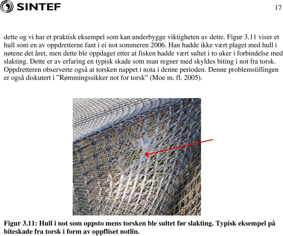 Dette er av erfaring en typisk skade som man regner med skyldes biting i not fra torsk. Oppdretteren observerte også at torsken nappet i nota i denne perioden.