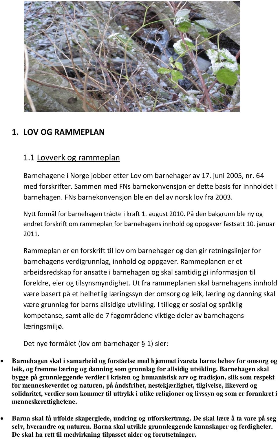 På den bakgrunn ble ny og endret forskrift om rammeplan for barnehagens innhold og oppgaver fastsatt 10. januar 2011.