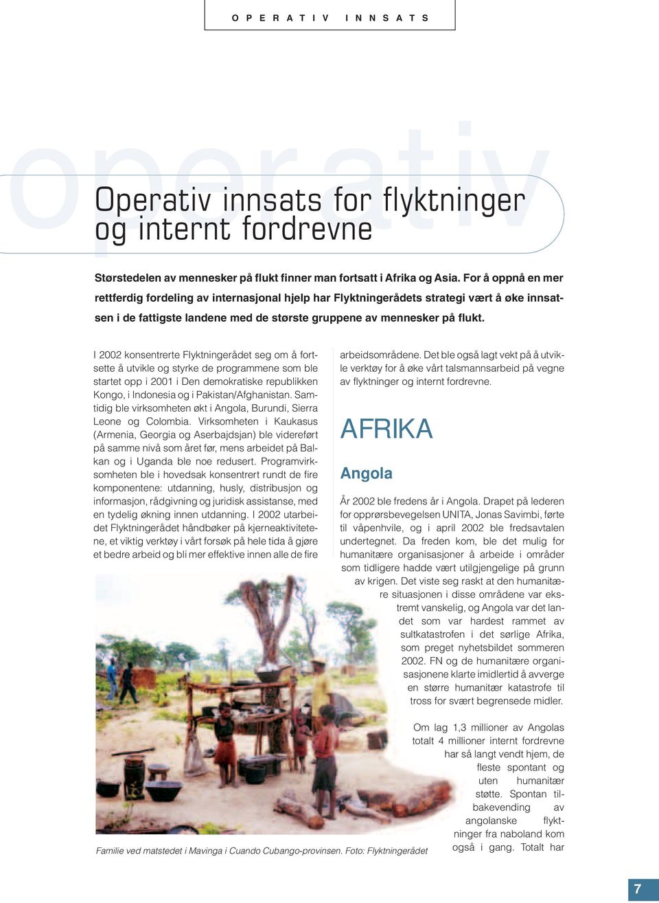 I 2002 konsentrerte Flyktningerådet seg om å fortsette å utvikle og styrke de programmene som ble startet opp i 2001 i Den demokratiske republikken Kongo, i Indonesia og i Pakistan/Afghanistan.