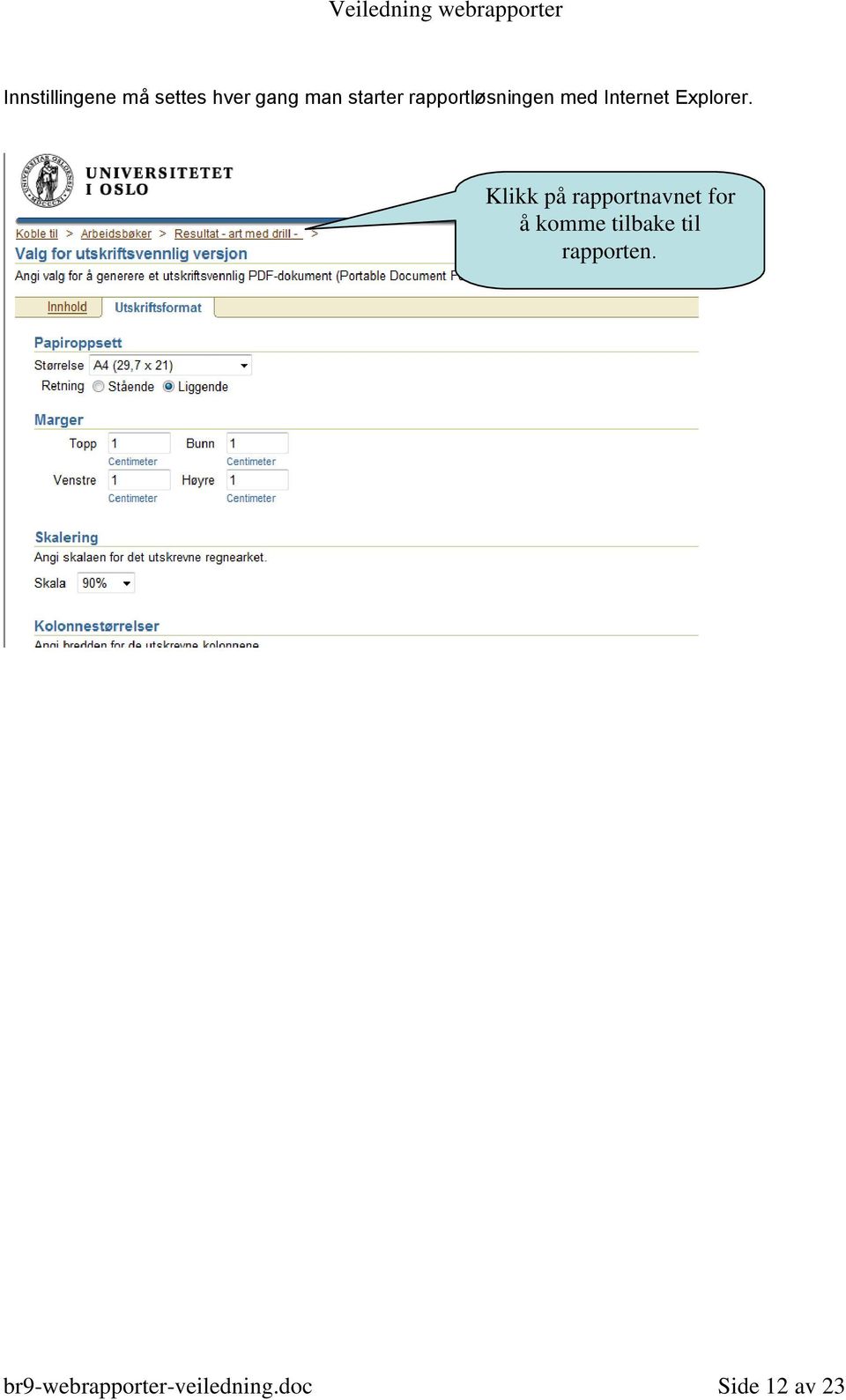 Klikk på rapportnavnet for å komme tilbake til