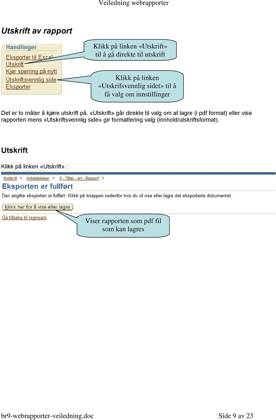 «Utskrift» går direkte til valg om at lagre (i pdf format) eller vise rapporten mens «Utskriftsvennlig side» gir