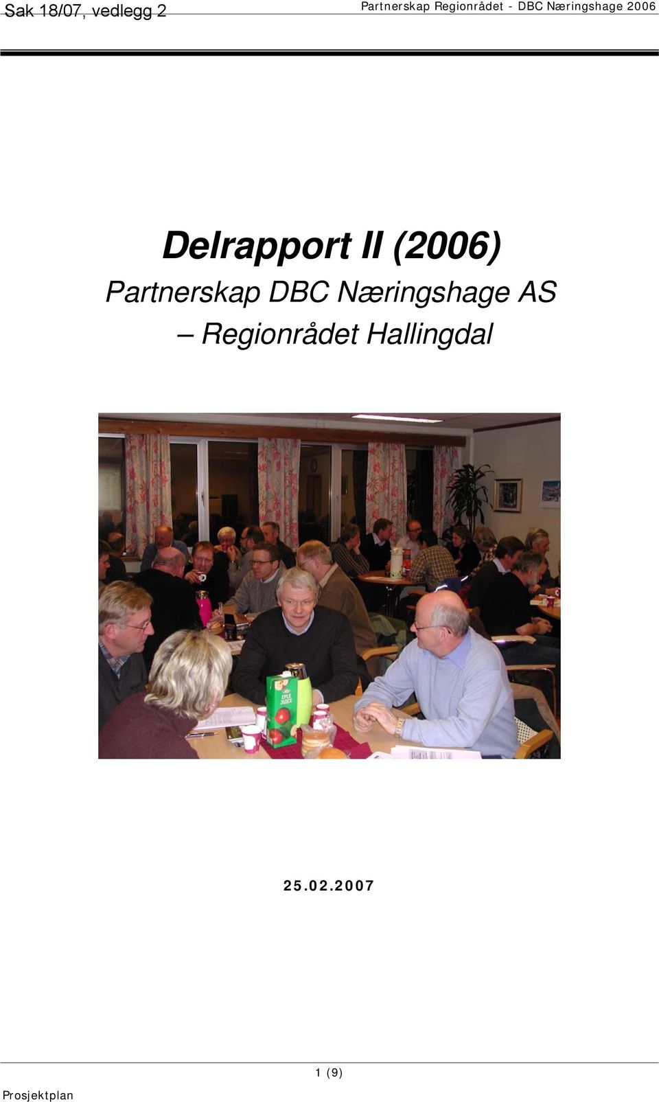 Delrapport II (2006) Partnerskap DBC