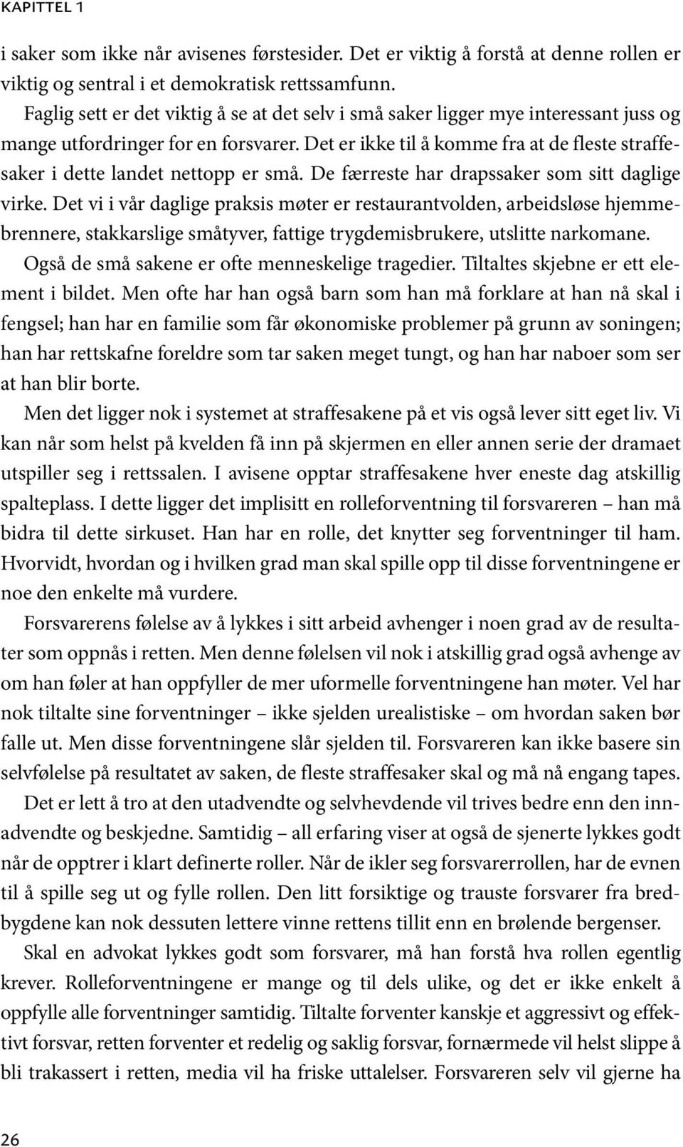 Det er ikke til å komme fra at de fleste straffesaker i dette landet nettopp er små. De færreste har drapssaker som sitt daglige virke.