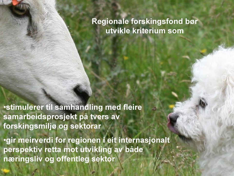 forskingsmiljø og sektorar gir meirverdi for regionen i eit