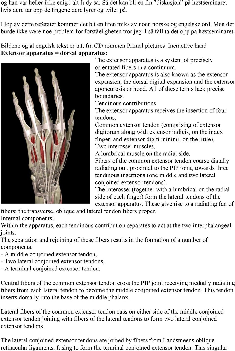 Bildene og al engelsk tekst er tatt fra CD rommen Primal pictures Ineractive hand Extensor apparatus = dorsal apparatus: The extensor apparatus is a system of precisely orientated fibers in a