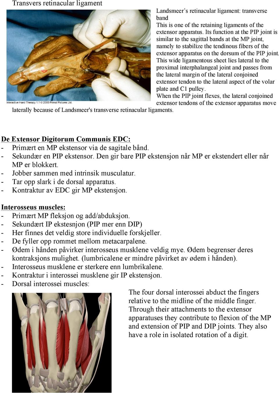 This wide ligamentous sheet lies lateral to the proximal interphalangeal joint and passes from the lateral margin of the lateral conjoined extensor tendon to the lateral aspect of the volar plate and