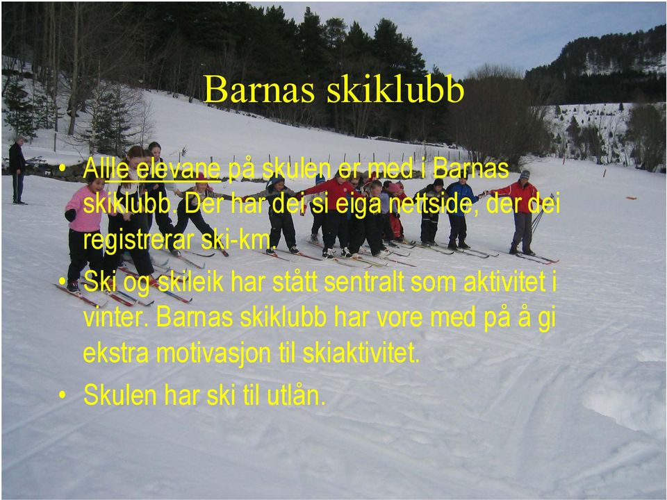 Ski og skileik har stått sentralt som aktivitet i vinter.